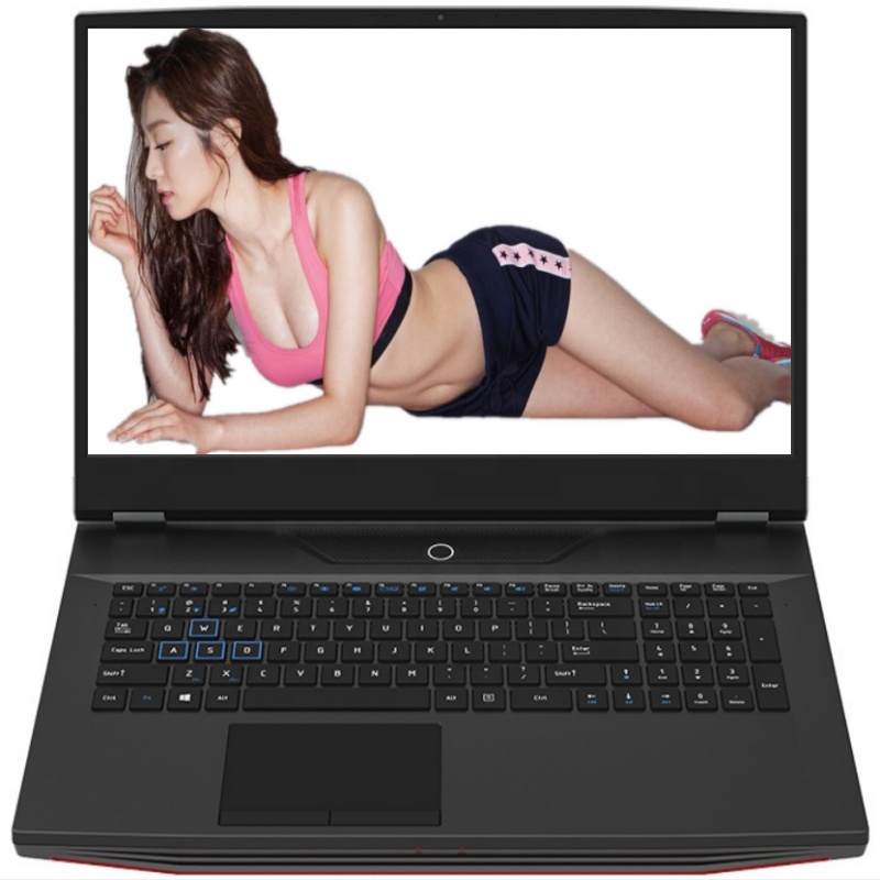 17.3 inch FHD IPS Gaming Lapto - Pc Gaming Core I7 review and price