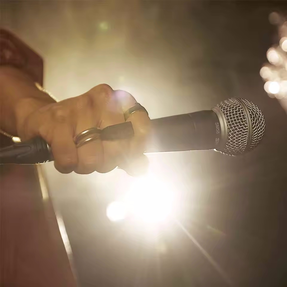 Karaoke Dynamic Microphone Pro - Pc Gaming Live Streaming review and price